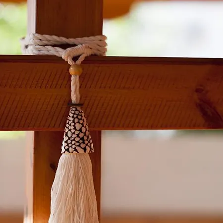 卡斯塔利亚公寓式酒店 公寓式酒店 阿莫利亚尼岛