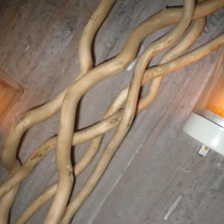 Appart hôtel Kastalia Amoliani